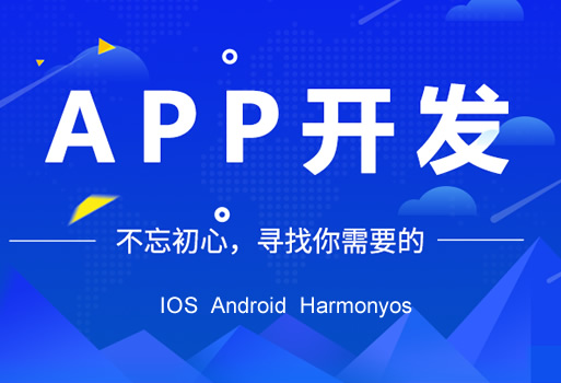 APP定制开发
